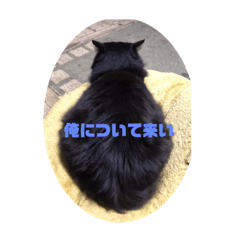 [LINEスタンプ] もみじスタンプ(光)