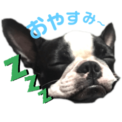 [LINEスタンプ] あんこ0219