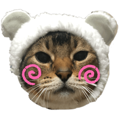 [LINEスタンプ] ゆうじろうの…