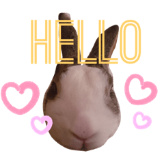 [LINEスタンプ] お茶目なkokkochan