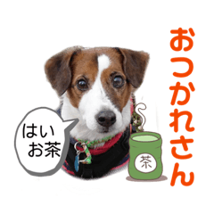 [LINEスタンプ] こたりんと一緒