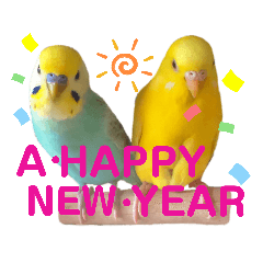 [LINEスタンプ] 愛しのインコ・イベント＆日常編