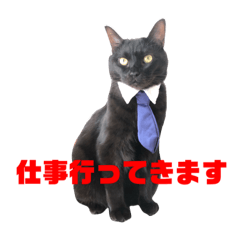 [LINEスタンプ] 使えそうで使えない空輔スタンプ