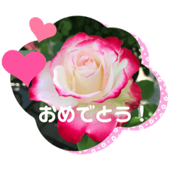 [LINEスタンプ] My Flower Stamp 七五三