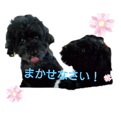 [LINEスタンプ] デンライ2
