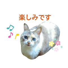 [LINEスタンプ] ラブリーメイちゃん