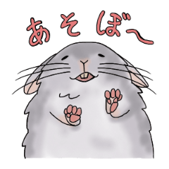 [LINEスタンプ] もふもふチンチラ