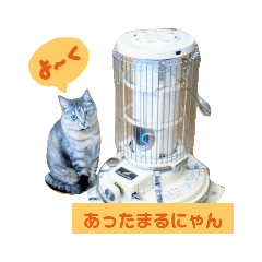 [LINEスタンプ] にゃーこの気まぐれな冬