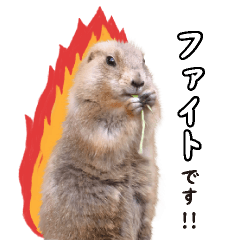 [LINEスタンプ] 日常で使えるプレーリードッグ7