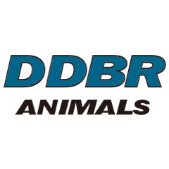 [LINEスタンプ] DDBR animals