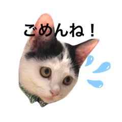 [LINEスタンプ] ハチベエスタンプ2