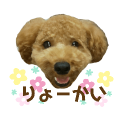 [LINEスタンプ] ポコすたんぷ#001