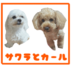 [LINEスタンプ] サクラとカール