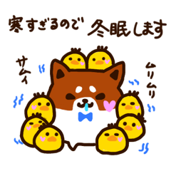 [LINEスタンプ] 柴尾の冬スタンプ