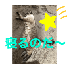 [LINEスタンプ] もちゃ10