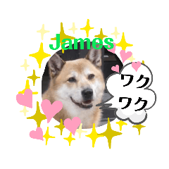 [LINEスタンプ] ジェームス・モナ・ムール