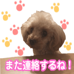 [LINEスタンプ] こちみゅふぱ☆