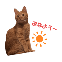 [LINEスタンプ] うちのいくらさん♬