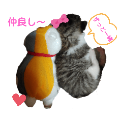 [LINEスタンプ] 子猫そらの毎日スタンプ