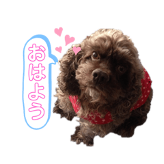 [LINEスタンプ] じゅりあんスタンプ