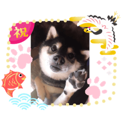 [LINEスタンプ] 七五三の空。。