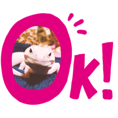 [LINEスタンプ] あねらくん