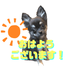 [LINEスタンプ] ゆきちとマロンとさくら