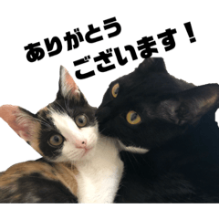 [LINEスタンプ] ルカクとムロ