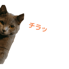 [LINEスタンプ] うにpart3