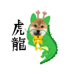 [LINEスタンプ] 虎龍スタンプ