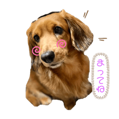 [LINEスタンプ] Kawaiiaiken！！！