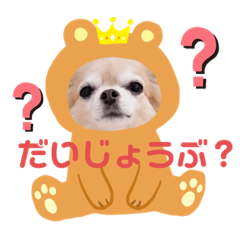 [LINEスタンプ] ココちゃんすたんぷ■