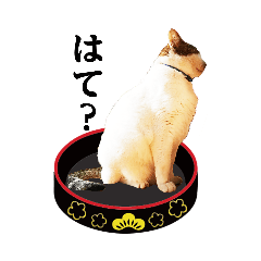 [LINEスタンプ] ゆずねこ2