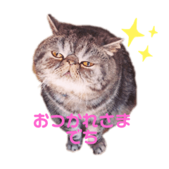 [LINEスタンプ] ぶりたまん