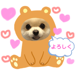 [LINEスタンプ] ポメラニアン♡レオ