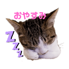 [LINEスタンプ] もこふく