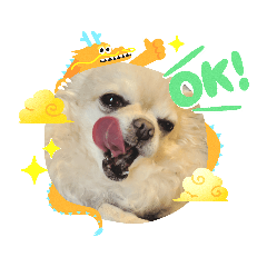 [LINEスタンプ] チワワのジョウタロウ