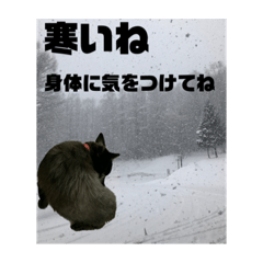 [LINEスタンプ] 真っ黒わんこ:冬仕様