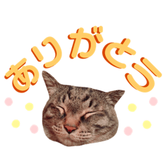 [LINEスタンプ] おデブのごろう。時々アズキ。