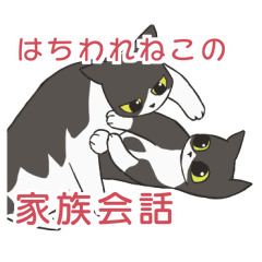 [LINEスタンプ] はちわれねこの家族会話