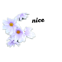 [LINEスタンプ] 花鳥はんこ