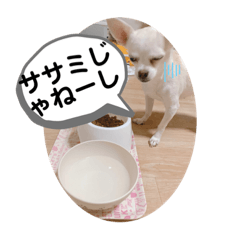 [LINEスタンプ] べる専用スタンプ
