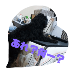 [LINEスタンプ] 笑ってるけどね♡