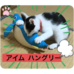 [LINEスタンプ] ちょびちゃん@