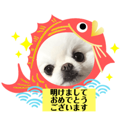 [LINEスタンプ] ポメラニアン しゅりりんこりん4お正月