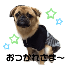 [LINEスタンプ] gontaすたんぷ