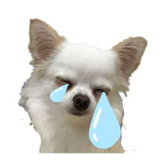 [LINEスタンプ] とぅぶスタ