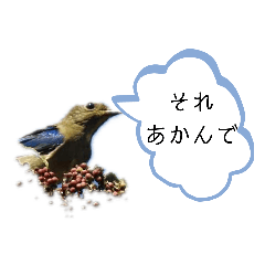 [LINEスタンプ] 可愛い鳥ちゃん4