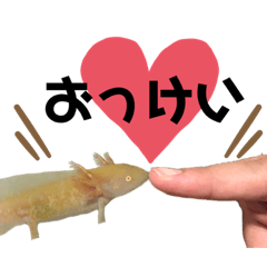 [LINEスタンプ] ごんちゃんスタンプ1