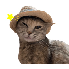 [LINEスタンプ] とこちゃんまみれ